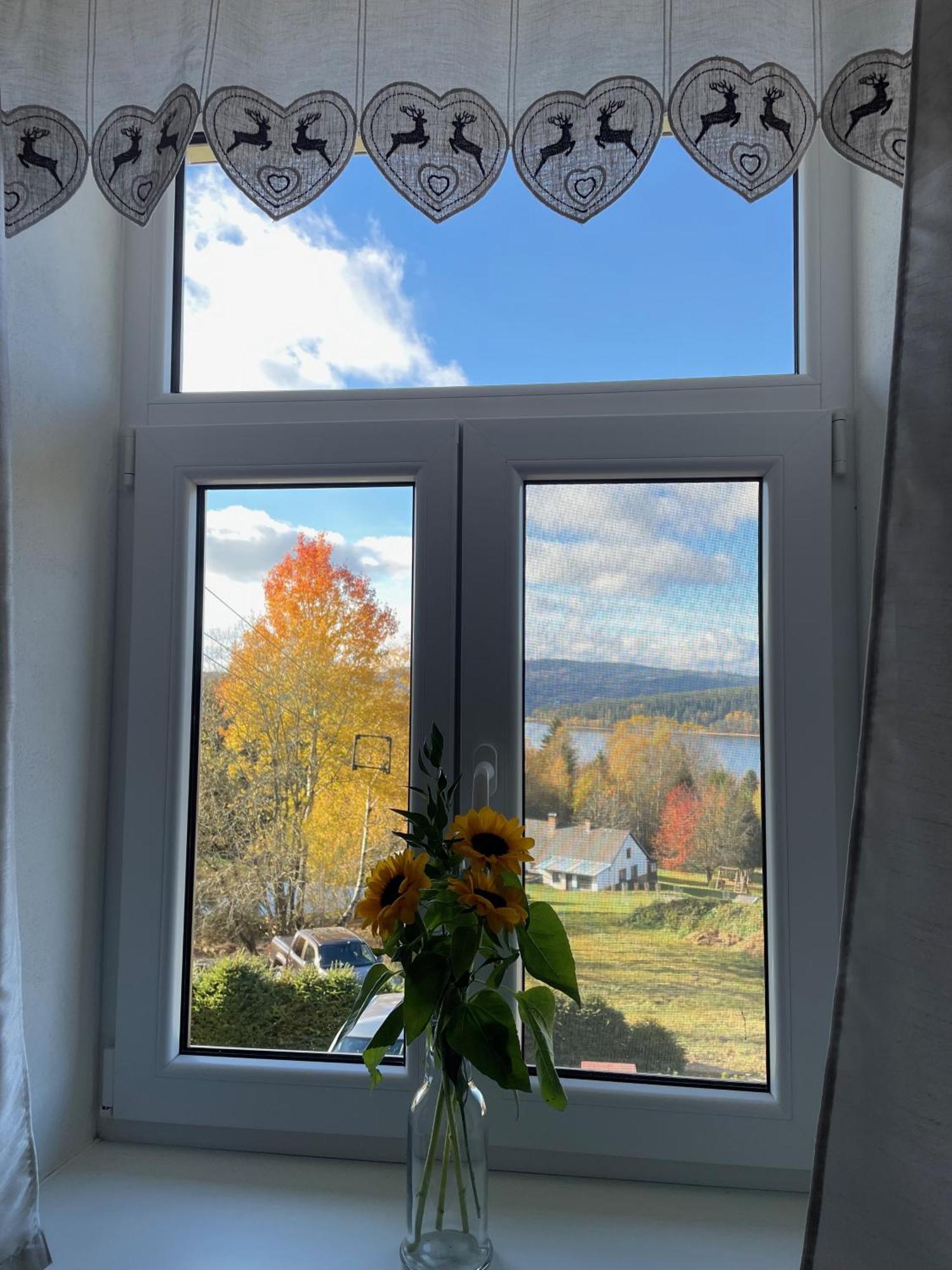 Apartmany Hajovna Lipno Loučovice Buitenkant foto
